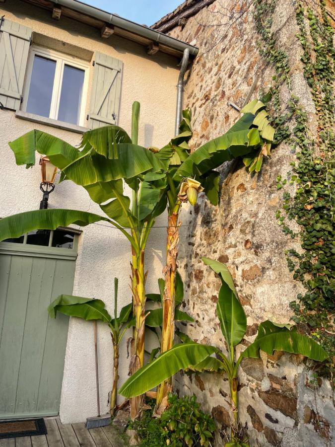 Maison Hirondelles Gites Mezieres-sur-Issoire Buitenkant foto